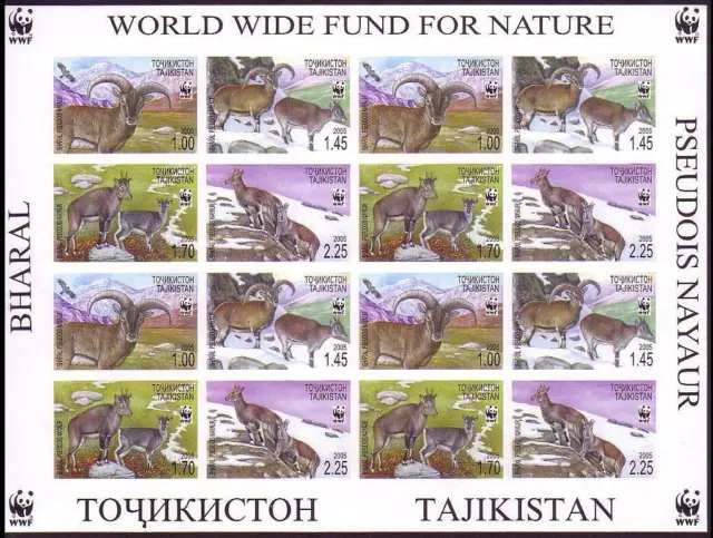 Tajikistan WWF Bharal Imperf Sheetlet of 4 sets 2005 MNH SG#282-285