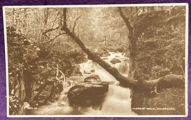 Wales Torrent Walk Dolgelley RPPC - posted 1924