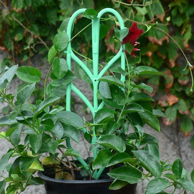 Cadre d'escalade Support d'escalade Support pour plantes Tige de fixation 5