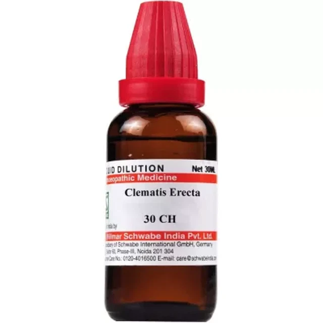 Willmar Schwabe India Clematis Erecta (30 ml) 100% homeopático