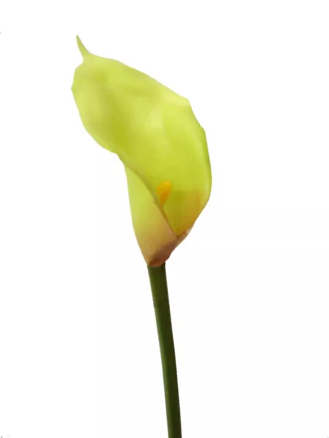 (01528-31305) Artificial Flor Individual Mini Cala Lily Lirio Agua Alcatraz Verd