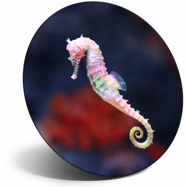 Awesome Fridge Magnet - Pink Seahorse Fish Ocean Cool Gift #15882