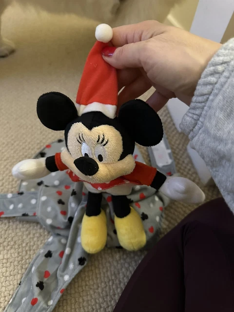 primark dog puppy mini mouse teddy bear coat jacket Size M/L