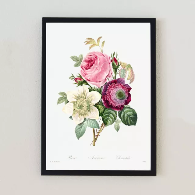 Vintage Botanical Roses Floral Illustration Antique Home Decor A4 Wall Art Print