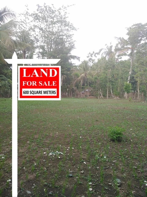600 Square Meter FREEHOLD Land For Sale in the Philippines I Investment I Retire 600 Square Meter FREEHOLD Land For Sale in the Philippines I Investment I Retire