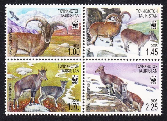 Tajikistan WWF Bharal 4v Block of 4 2005 MNH SG#282-285 MI#392-395