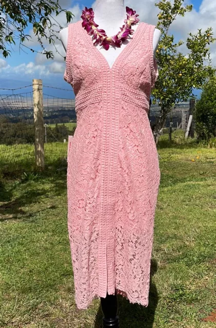 Bardot Halter Lace Dress In Blush Pink Nwt 10 L