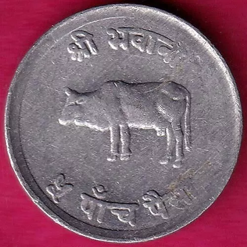 Nepal Ah 2027 Mahendra Bir Bikram Five Paisa Rare Coin#KB73