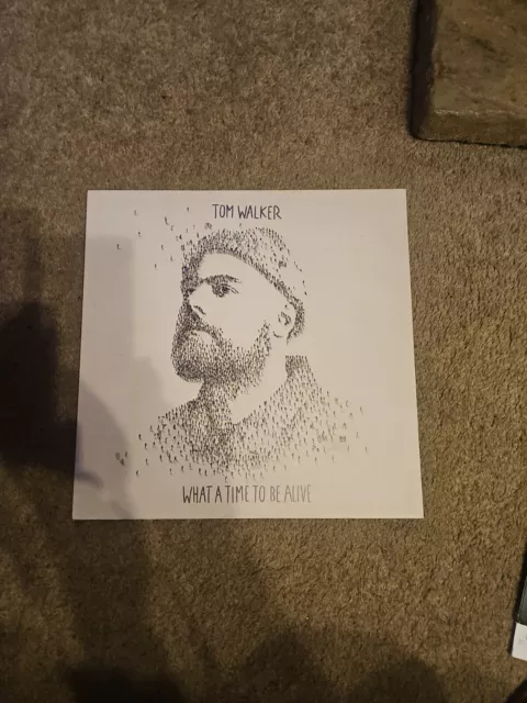 Tom Walker-What A Time To Be Alive -12" Vinyl LP & Inner-19075801781 Imp 2019 NM