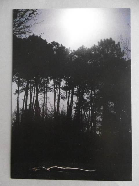 CHARLOTTE MANO carton exposition Galerie XII Paris 2022 Photographe art