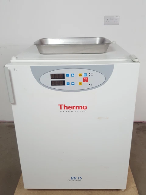 Thermo Scientific BB 15 CO2 Laboratory Incubator Lab