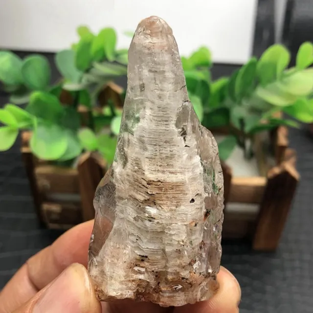 WOW！！TOP Rare Natural Clear white Phantom inclusion Ghost Garden Quartz crystal
