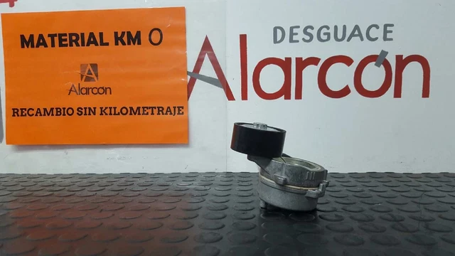 263123 Tendeur De Courroie Auxiliaire Pour Citroen C3 | 9675874680