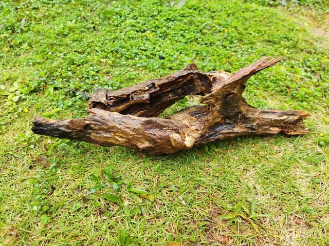 Driftwood Aquarium Fish Tank Landscape Natural Wood Reptile  Trunk Deco Real