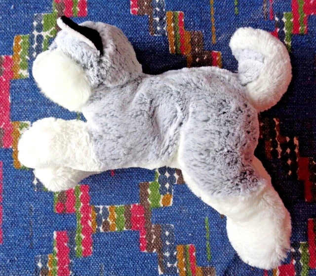 Hb2/  Doudou Peluche Dani Creations Chien Husky Blanc Gris Chine 28 Cm Kom9
