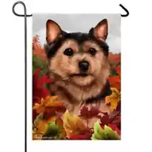 Fall Garden Flag (TB) - Black and Tan Norwich Terrier