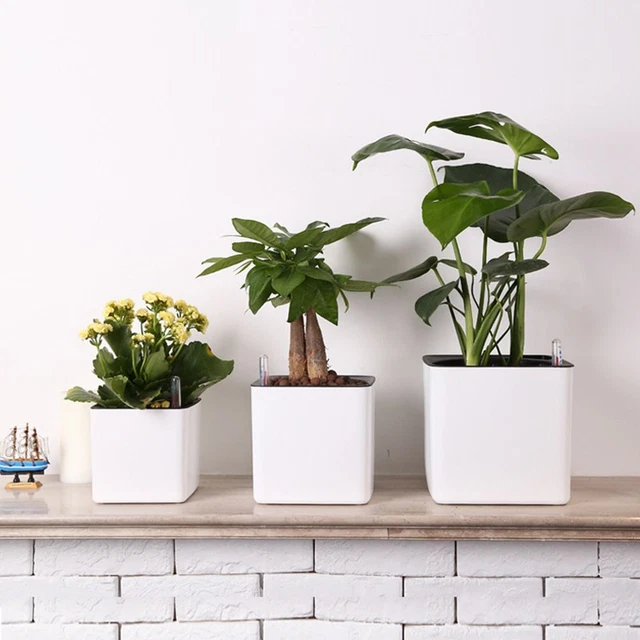 VASO DA FIORI trasparente fioriera contenitore autoirrigazione giardino