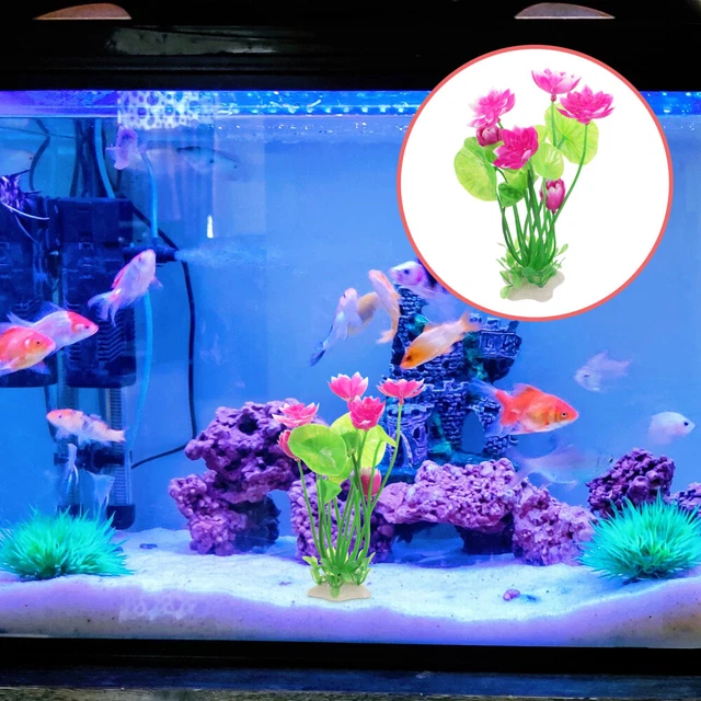 Stella Marina Finta Per Acquario - Decorazione Luminosa Galleggiante, Rosso O Blu - Foto 10