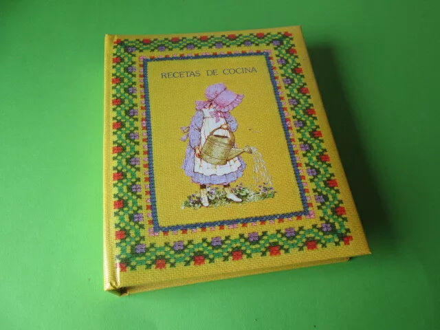 Vintage Holly Hobbie Cookbook Recipe Book American Greetings Corp 80'S New