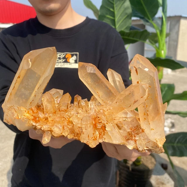 1120g Large Natural White Quartz Crystal Cluster Rough Specimen HEALING