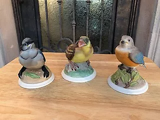 Boehm Birds