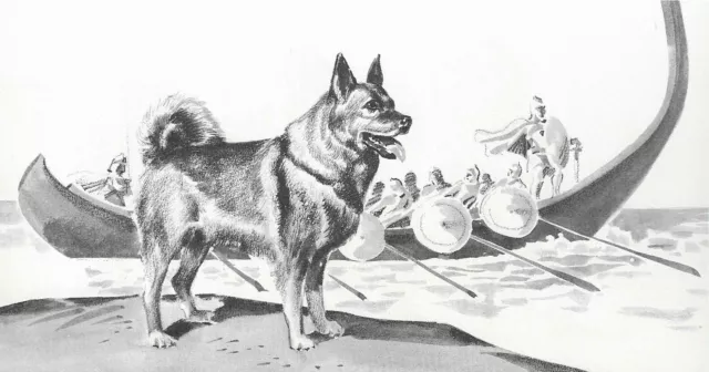 Norwegian Elkhound at Sea - CUSTOM MATTED - 1954 Vintage Dog Art Print - 0810