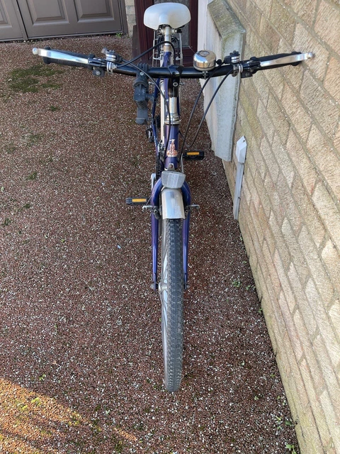 Raleigh magnum online mountain bike