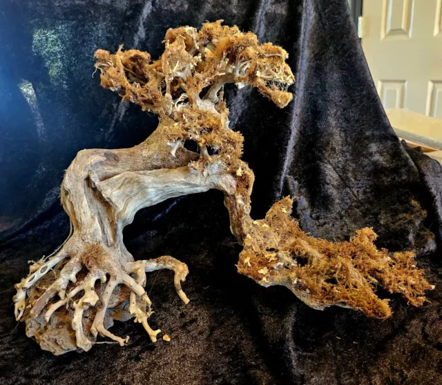 Natural Bonsai Driftwood Aquarium Tree - Used
