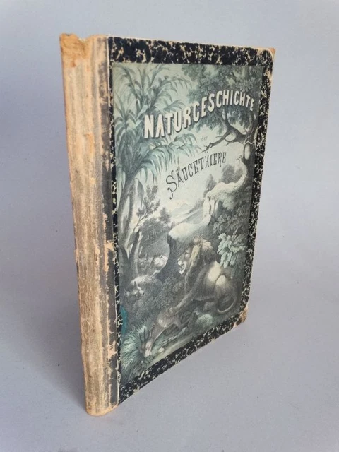 Naturgeschichte des Thierreichs Säugetiere - Schreiber 30 farb. Lithos - 1870
