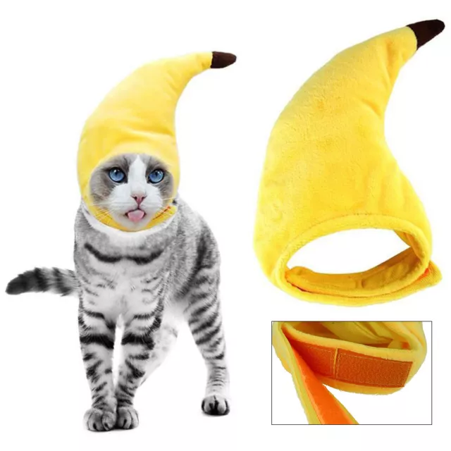 Chapeau Banane Pour Animaux De Compagnie Costumes D'halloween Pour Animaux R