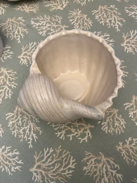 Shoreline Collection Home Studio Nautilus Sea Shell 7” Bowl,  Hand Painted
