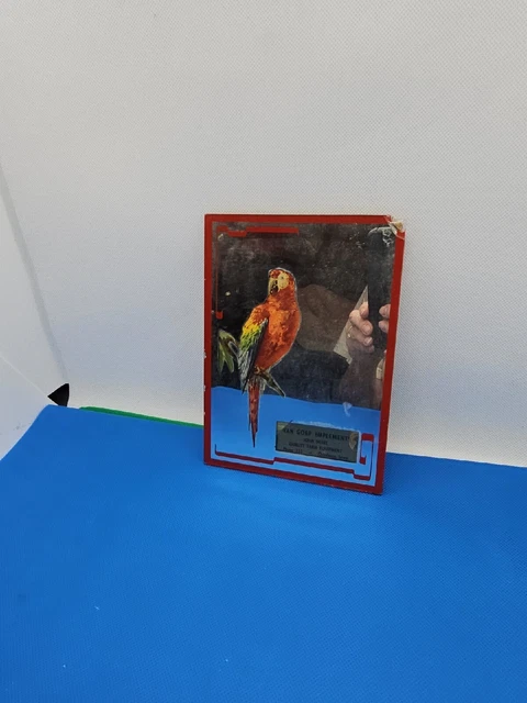 Van Gorp Implements Oskaloosa Iowa - Advertising Mirror - Parrot - TLC