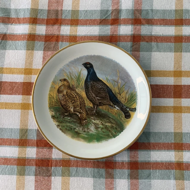 Naaman Israel -Fine Porcelain Plate Vintage Game Birds 7 1/2"