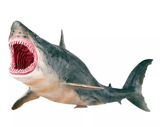 Megalodon Meg Model shape Jaws The Great White Shark Ocean Animal Collector Toy