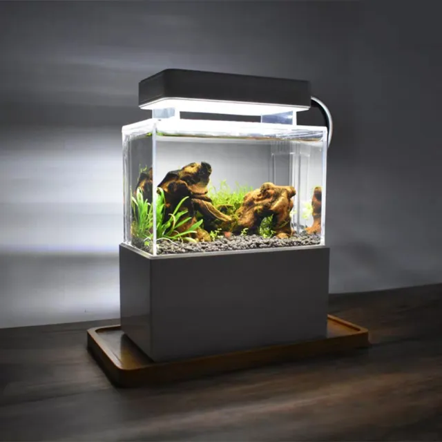 Mini Fish Tank Kit Desktop Aquarium with Water Filtration LED & Quiet Air Pump