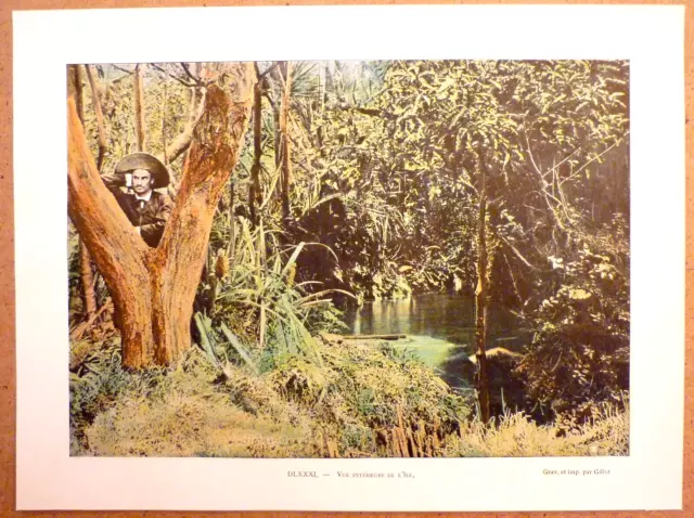 LA RÉUNION Vue intérieure de l'île - Photochromie fin 19ème  gravure