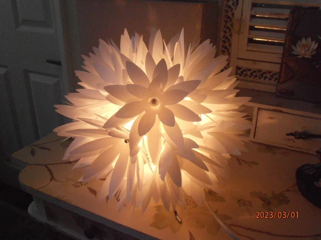 VERPACKT Wasserlilienlampe