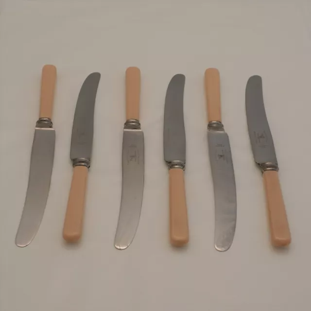 BONE EFFECT Handle Design PERFECTION Silver Service Cutlery Six Table Knives