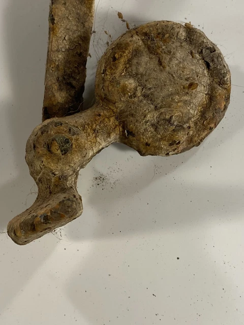Vintage Cast Iron Barn door Gate Latch Hinge 2