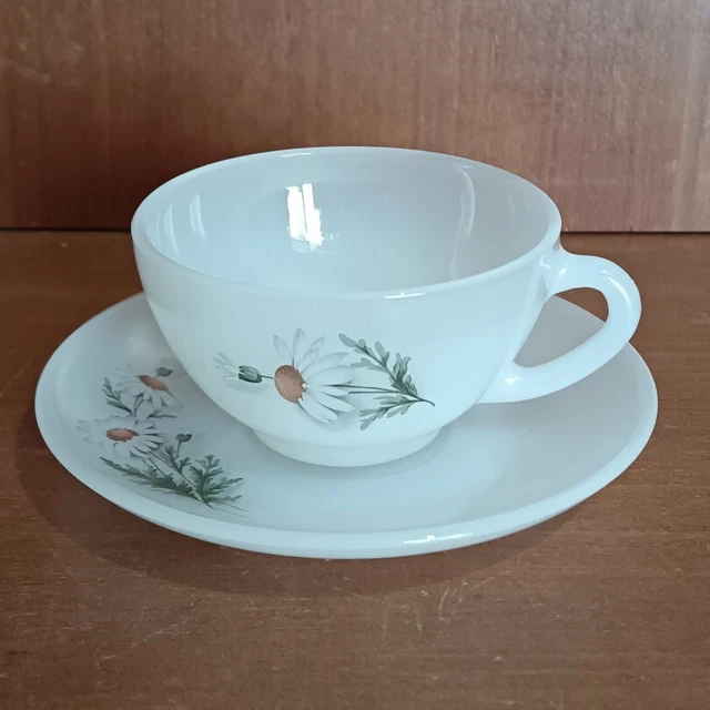 Service à Café 6 Personnes - Cafetière, Tasses, Soucoupes - Motif Fruits - Occasion
