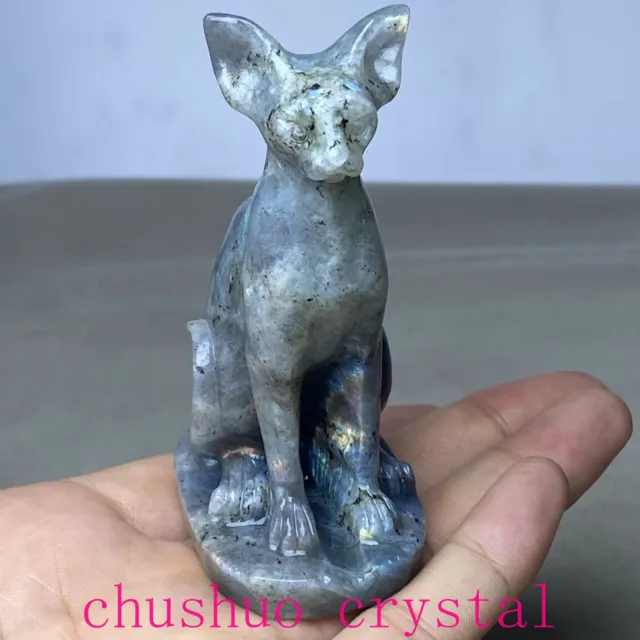 1pc Natural labradorite Hairless cat Quartz Crystal Skull Carved Figurines 3"