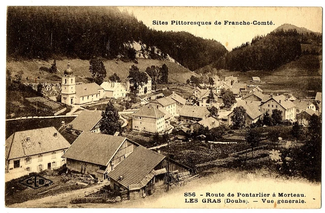 CPA 25 Doubs Les Gras Route de Pontarlier à Morteau General View