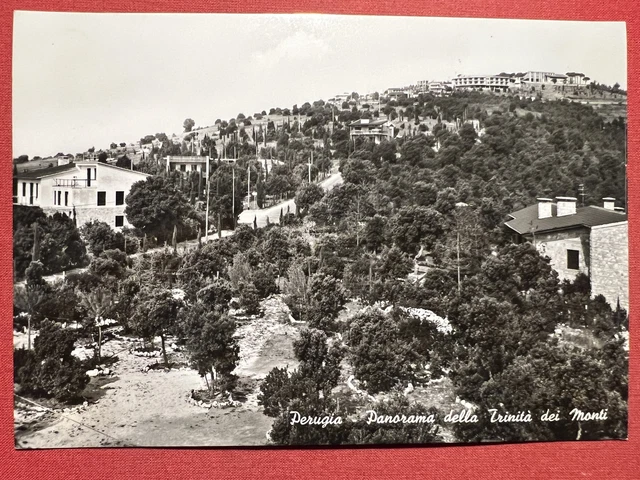 Cartolina - Perugia - Panorama della Trinità dei Monti - 1955 ca.