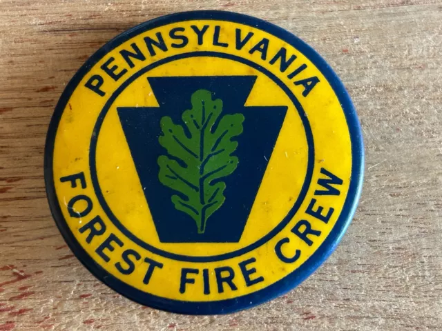 Pennsylvania Forest Fire Crew Pinback Button Pin Badge Keystone Vtg Firefighting