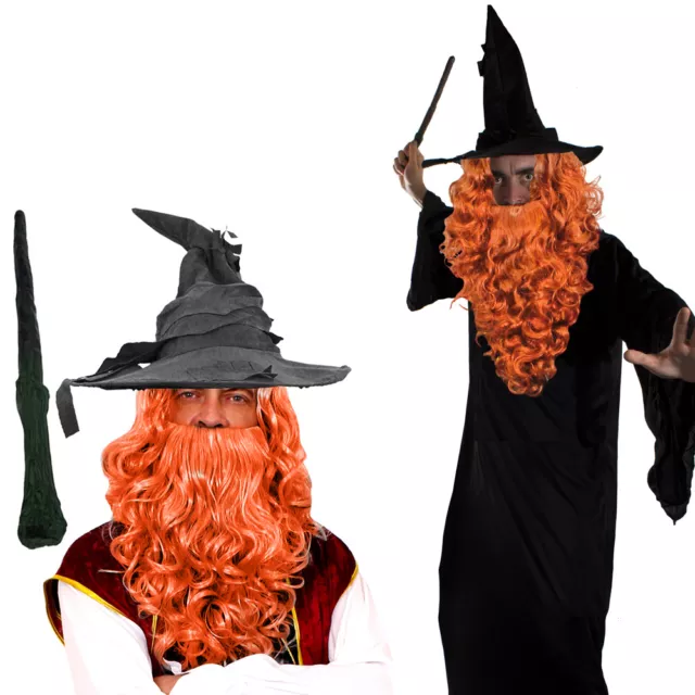 Wizard Fancy Dress With Wig And Beard Set Costume Magical Film Prof Fancy Dress