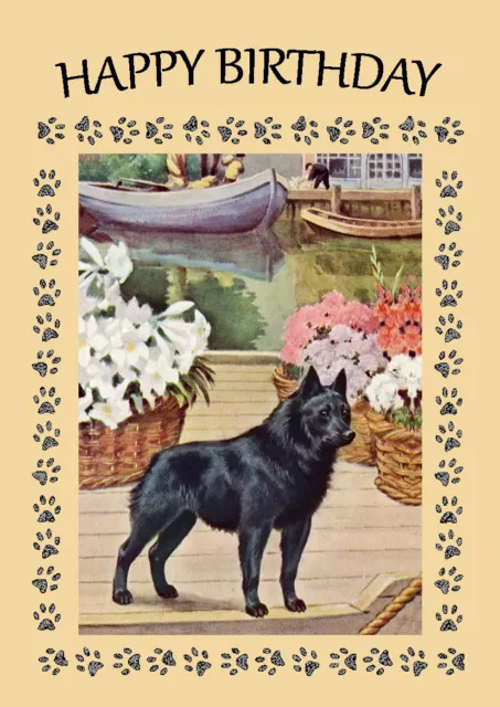 Schipperke Dog On Boat Dog Birthday Greetings Note Card