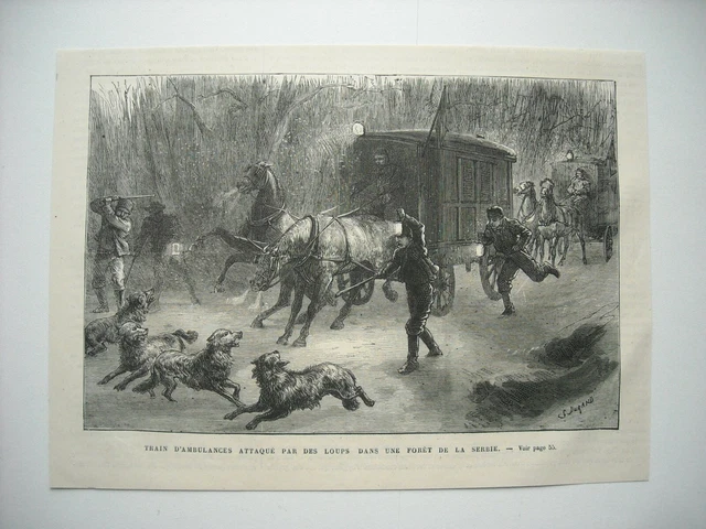 1877 Engraving. Ambulance Train Wolf Attack In Serbian Forest.