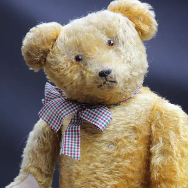 Wunderschöner Antiker Petz Kiesewetter alter Teddy Bär antique Teddy Bear