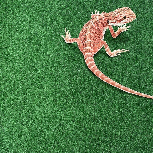 2Pcs Lizards Substrate Mat Turtle Terrarium Bedding Reptile Carpet Rug Carpet 3