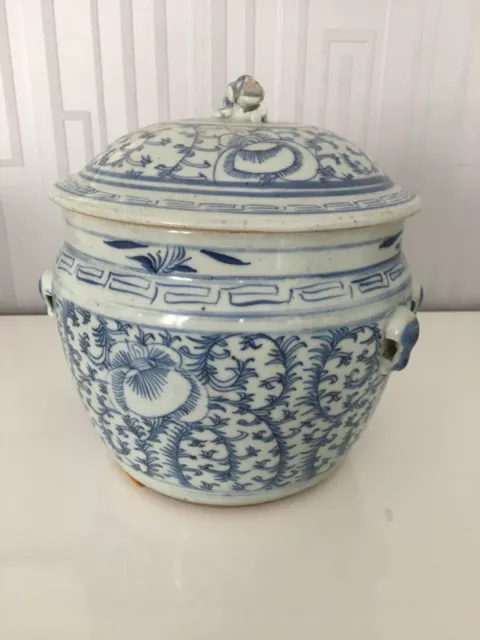 pot à Gingembre- vase couvert en porcelaine de chine XlX